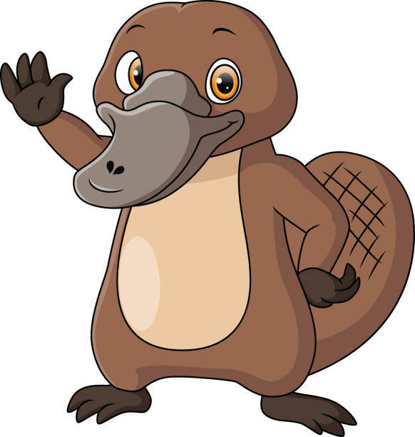 A platypus
