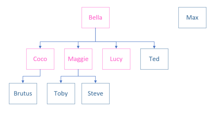 Snip: Dingo Family Tree. Reference figure for use recursion to add all dingoes to the zoo.