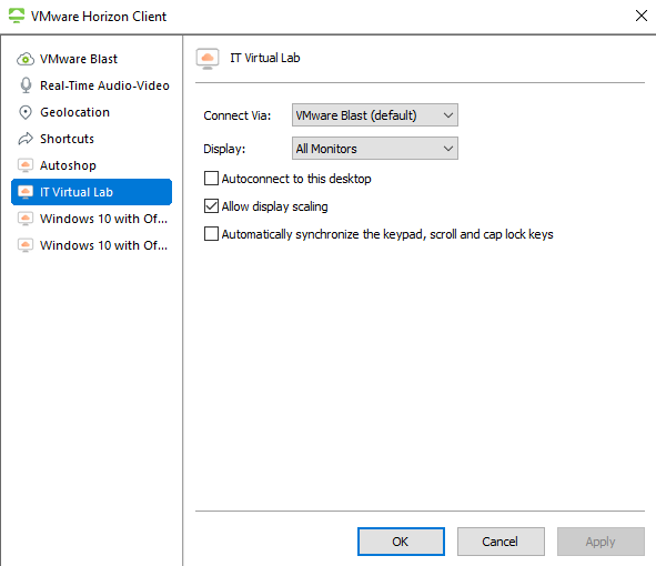 Settings for Virtual IT Lab. Use the adjacent task instructions to identify the required controls, output, or debugger values.
