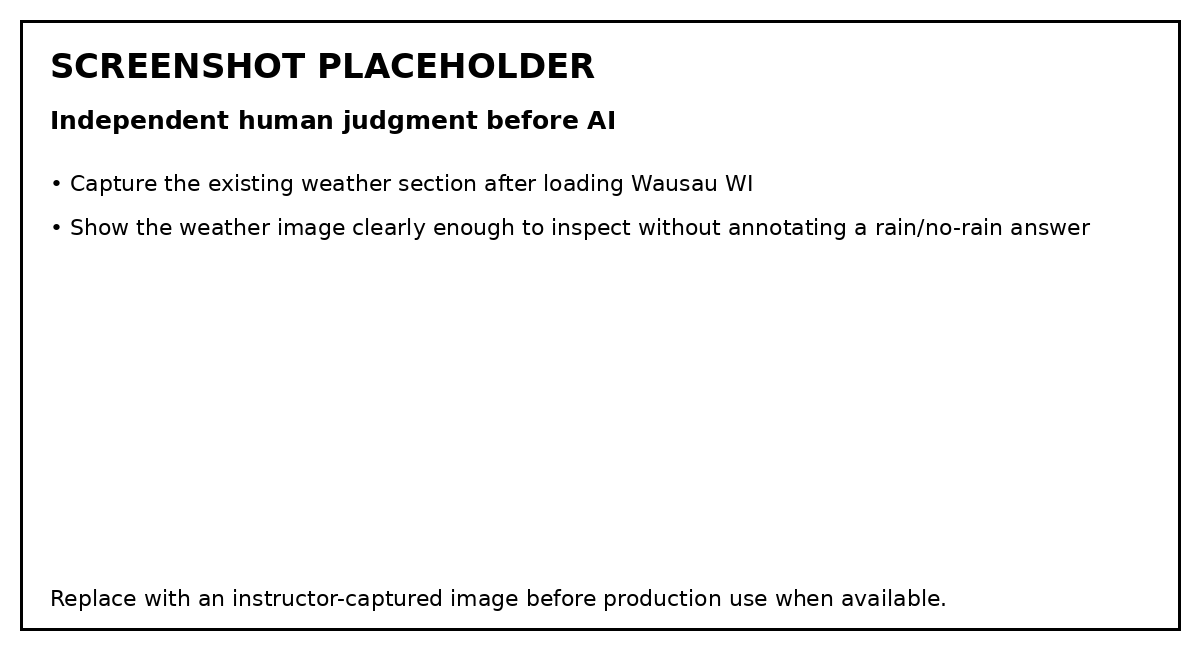 Screenshot placeholder showing weather information for Wausau WI before any AI analysis has been requested