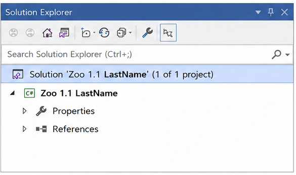 Visual Studio Solution Explorer showing the required solution and project naming pattern.