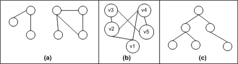 Figure 1. Three examples of graphs